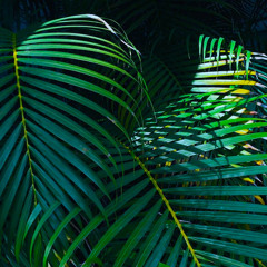 venice part. II     [Futurable - Album Sampler]