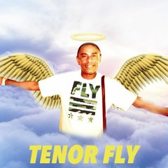 Tenor Fly Tribute Mix