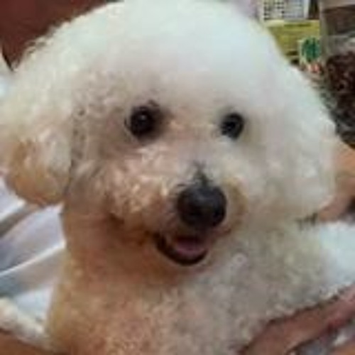 Sinéad O'Connor - The House Of The Rising Sun