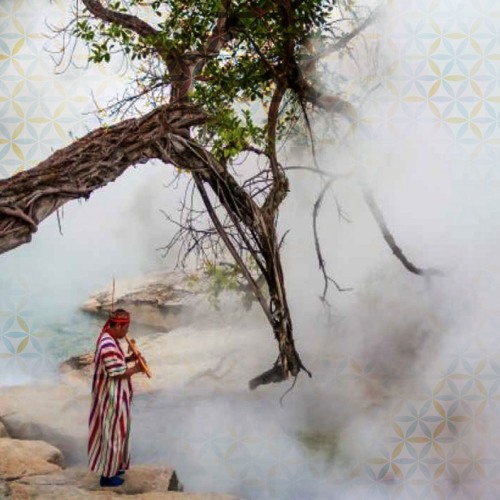 Yoga Flow: Medicine from the Amazon