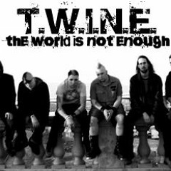 T.W.i.N.E. - Paint It Black Rolling Stones COVER