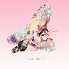 Tiger Tooth - Clementine