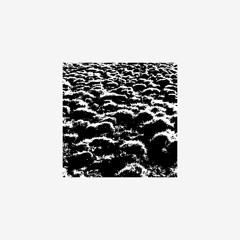 owcltd000│Drottning Omma - Iris av is