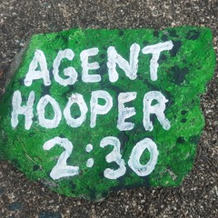 Agent Hooper - Down By The Bay I Hear They Have Watermelons 2016