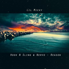 Hook N Sling & Nervo - Reason