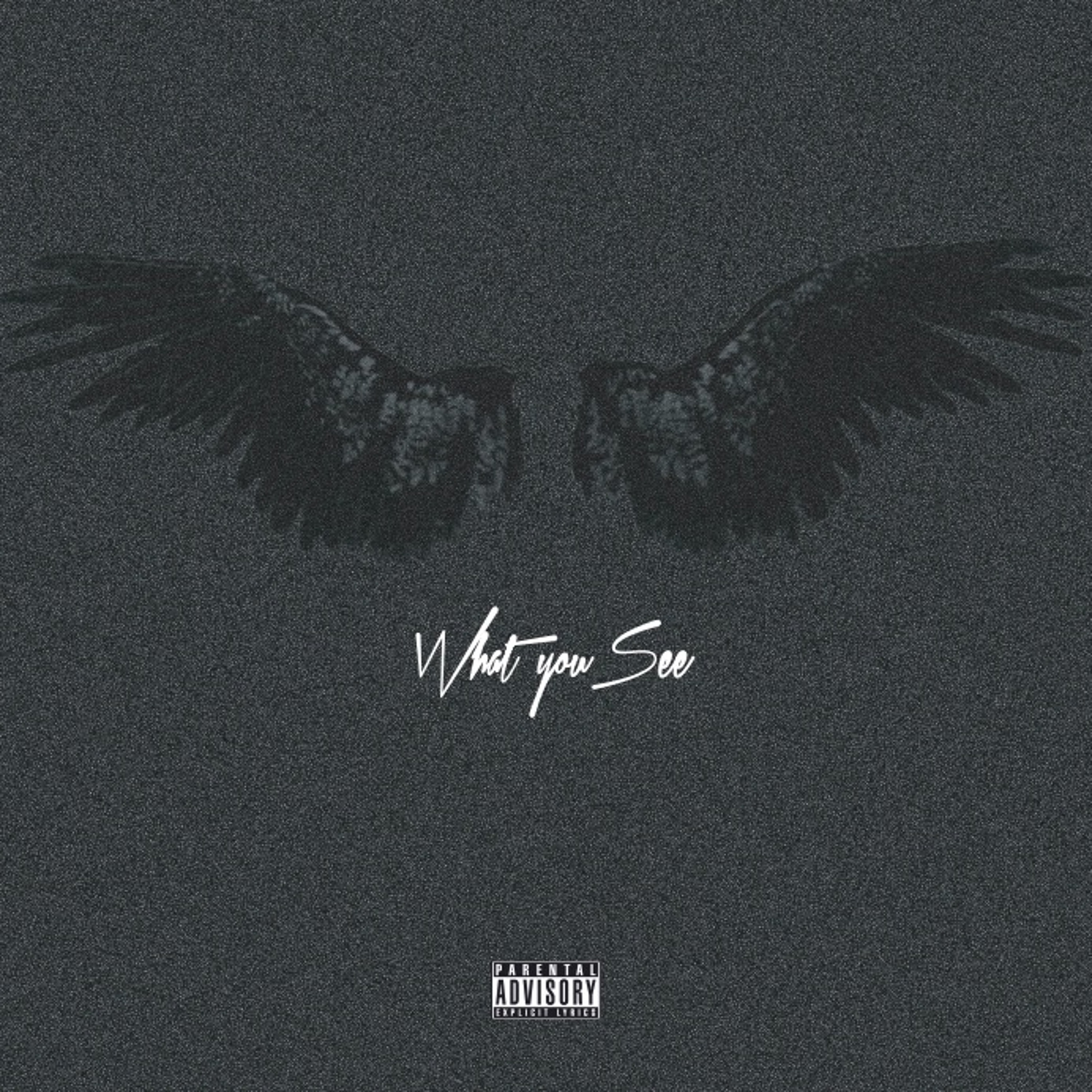 What You See episode artwork