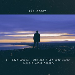 G - EAZY  ODESZA - How Did I Get Here Alone (AVSTIN JAMES Mashup)