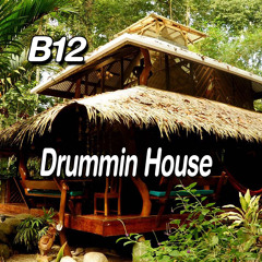 Drummin House