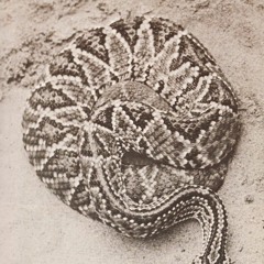 I Believe It's Magic 6/28/16