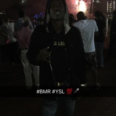 YSL Quis - BMR