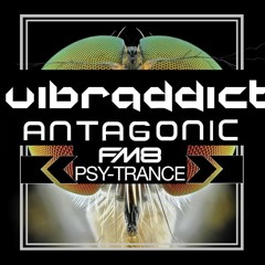 PSYTRANCE  Live DJ set vibraddict