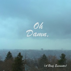 Oh Damn, (A Breif Encounter)