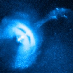 Vela