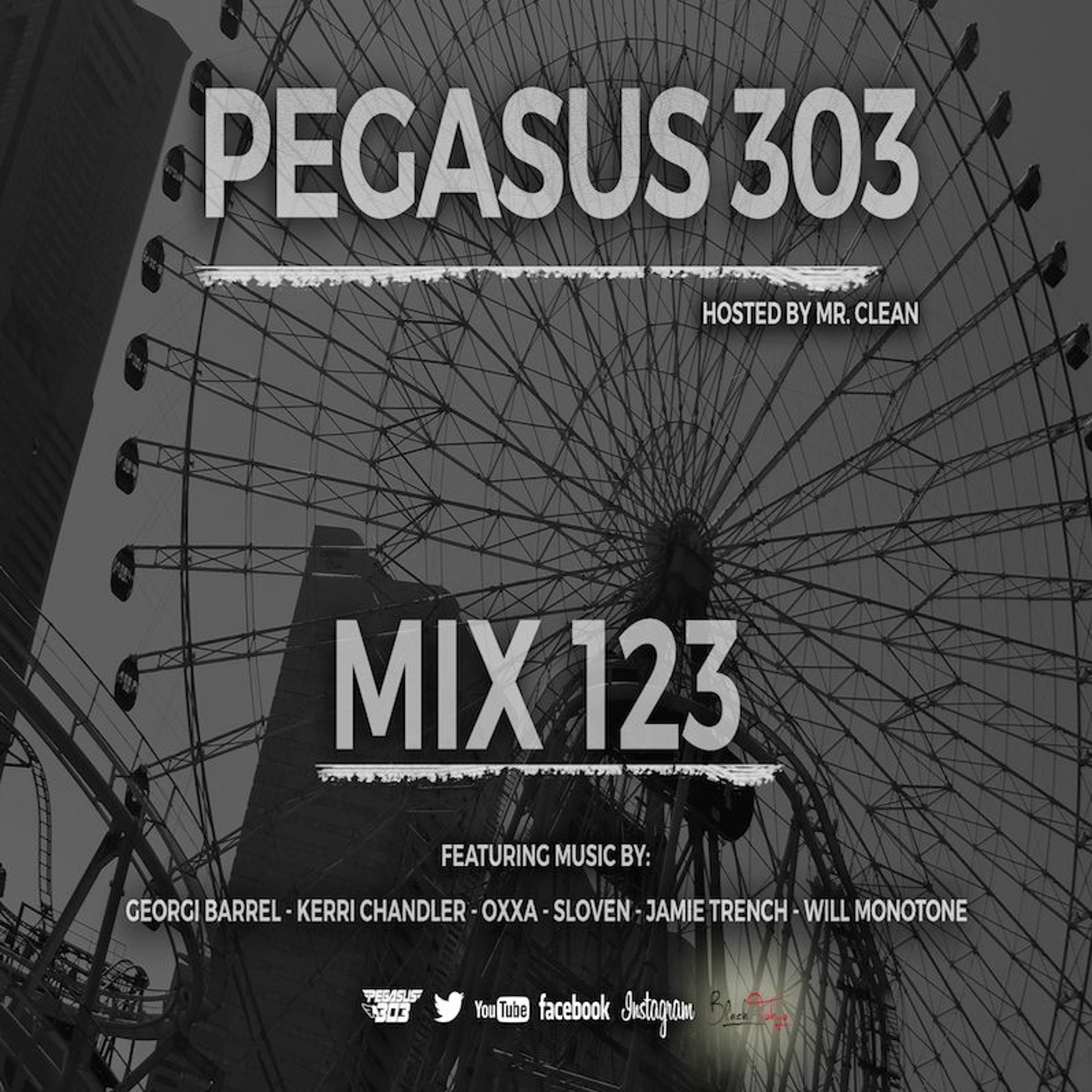 Pegasus 303 (mrclean)