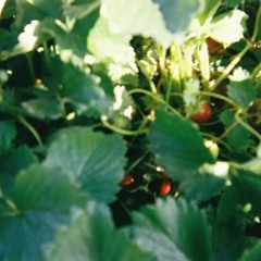 tough love is a myth