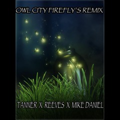 OWL CITY FireFlys Remix  X TANNER  X REEVES  X  MIKE DANIEL
