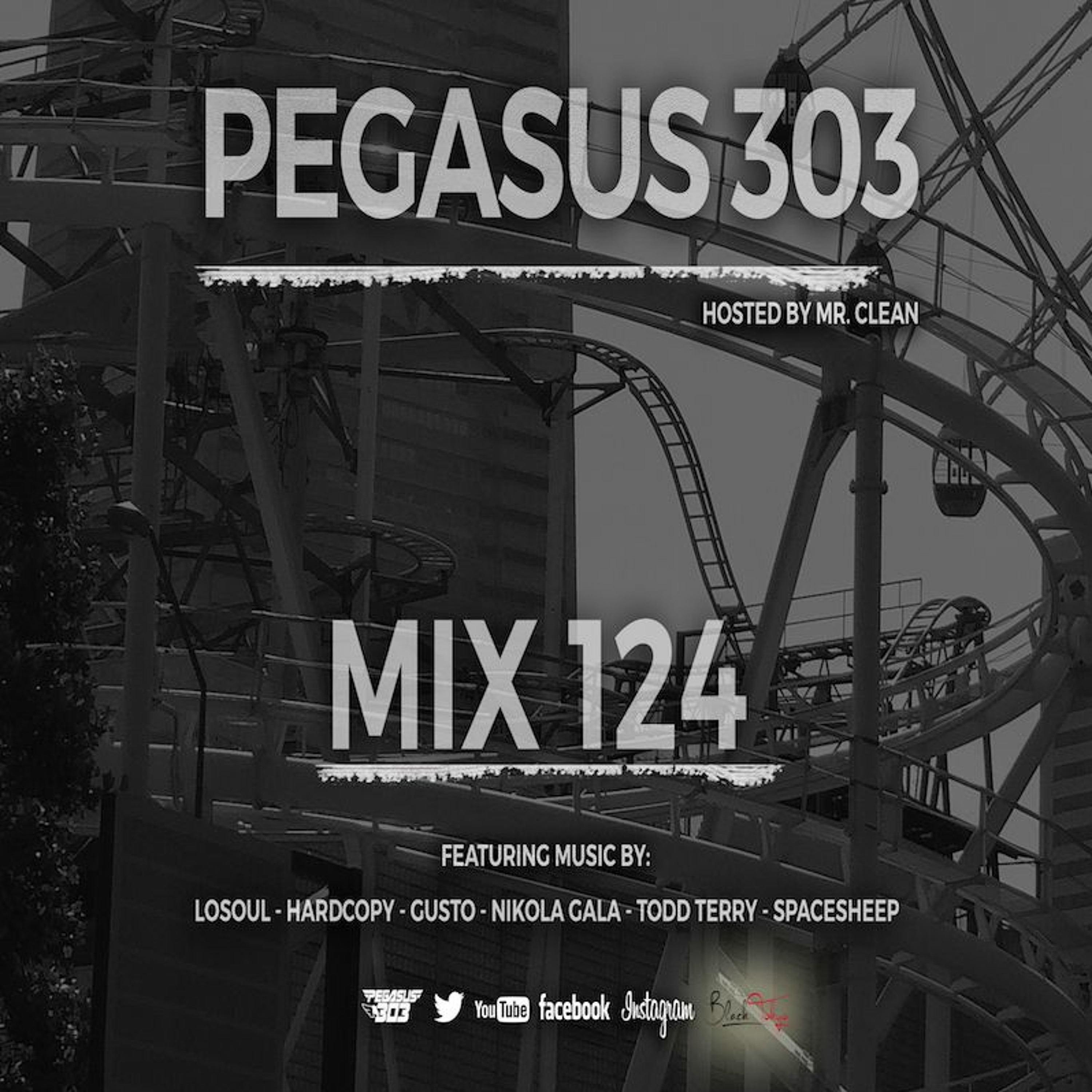 Pegasus 303 (mrclean)