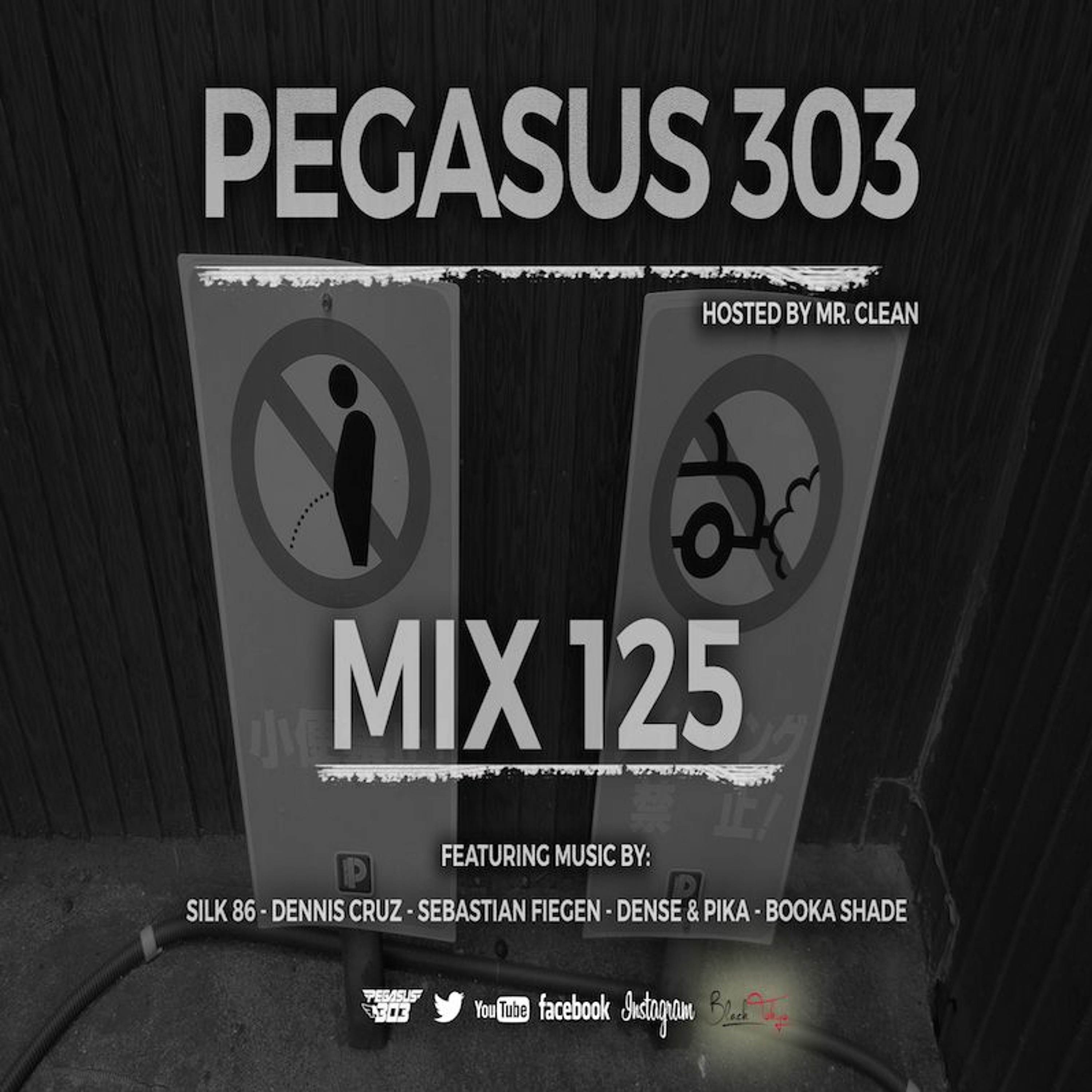 Pegasus 303 Mix