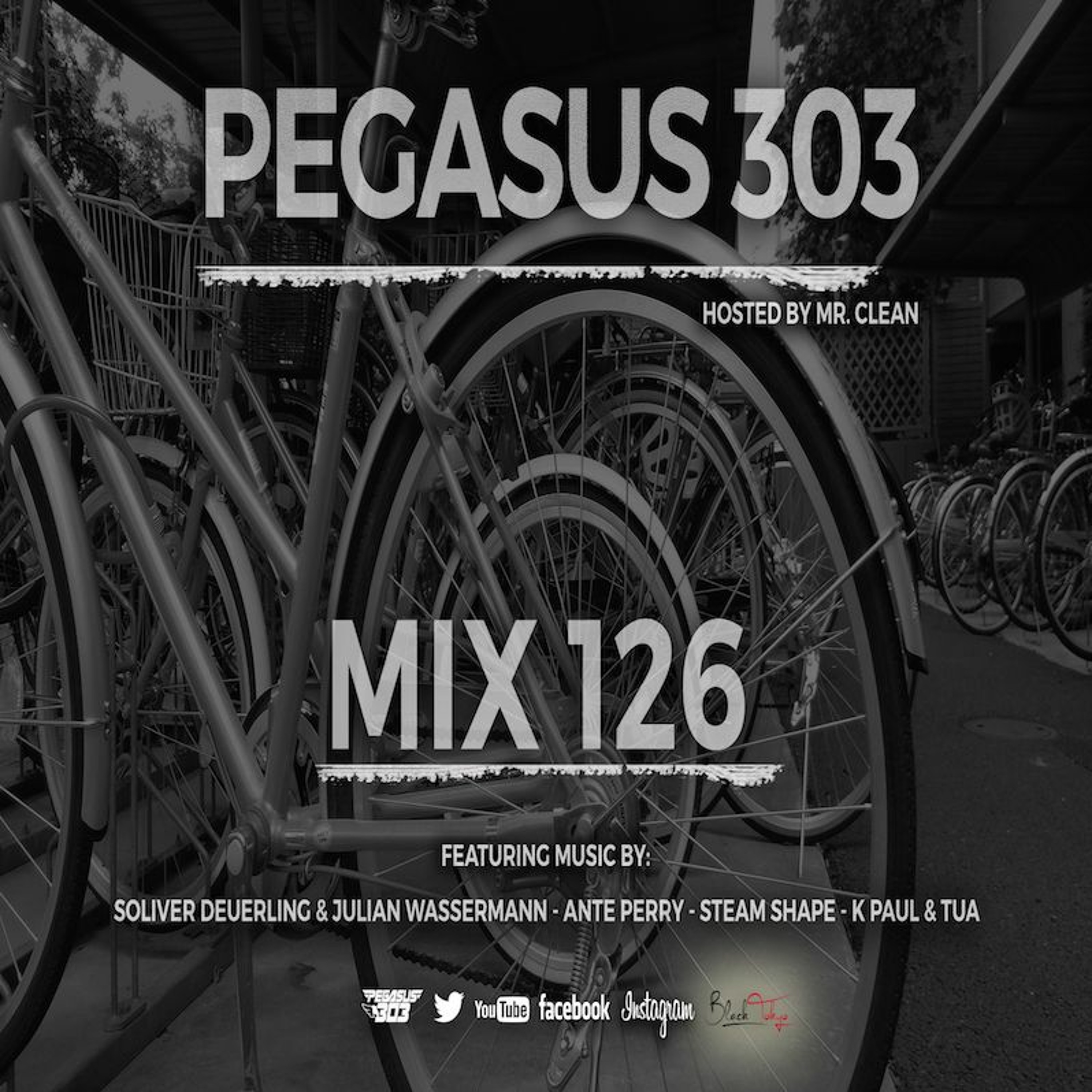 Pegasus 303 (mrclean)