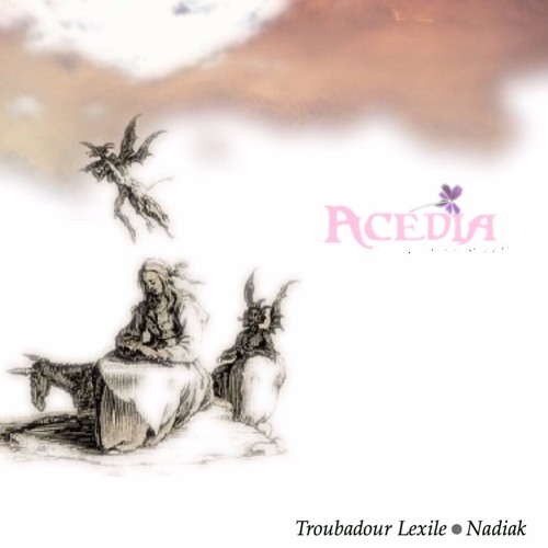 Take The Stars, And Leave Forever (Troubadour x Nadiak)