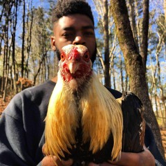 Supa Dupa - Whirlwind