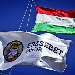 Bözsi Remix (Erzsébet tábordal dnb version)