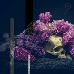 Flowers & Bones