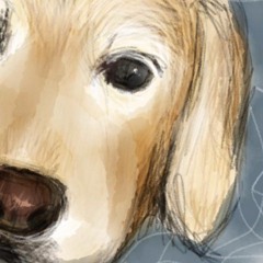 Hounds Of Love (Kate Bush cover) - The Larks