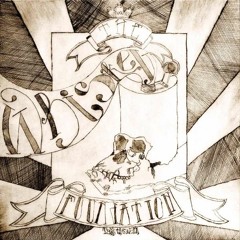 The Whiskey Foundation - Drunken Monkeys