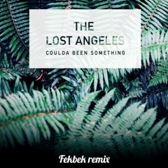 The Lost Angeles - Coulda Been Something (Fekbek Remix)