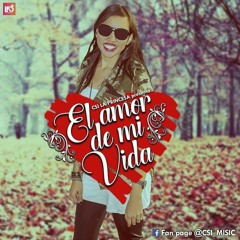 El Amor De Mi Vida