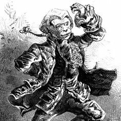 The Red Kites - Monkey Back