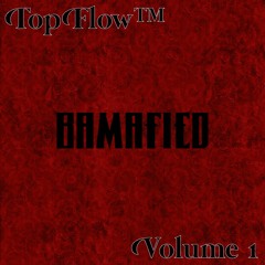 In My Zone~ Young Fly 205 FT. BHeard