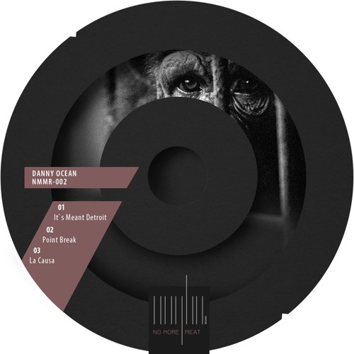 Danny Ocean-It`s Meant Detroit (12") NMMR-002 (SNIPPET)