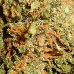 Sometimes I Get High. (feat. Catch-Up)