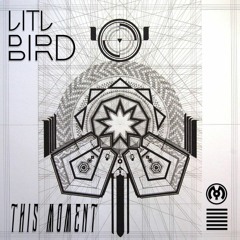 LITLBIRD - Silica