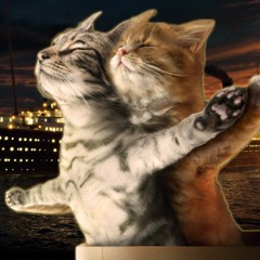 Chats Qui Chantent Titanic - Celine Dion - My Heart Will Go On (REMIX)