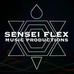 Been To The Moon (Sensei Mix)