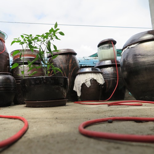 Kimchi Pots, Sadang.