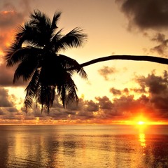 Sunset Walk