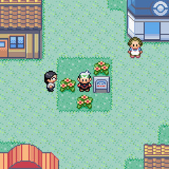 Oldale Town (GBC 8-bit)