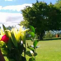 Kot a fichi nei we ponira