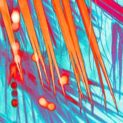 Loove (Original Mix 2013)