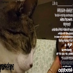 05)A No Seatbelt Kind Of Day