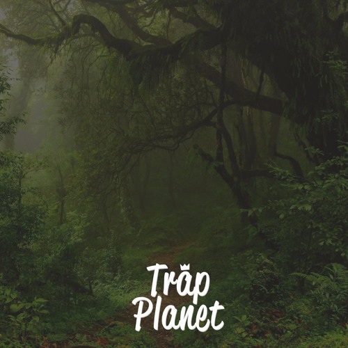 Marc Madness - Dzungla