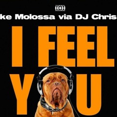 Mike Molossa Via Dj Chris D - I Feel You! (Michael Melody Vs. M.Schallmey Hardstyle Bootleg)