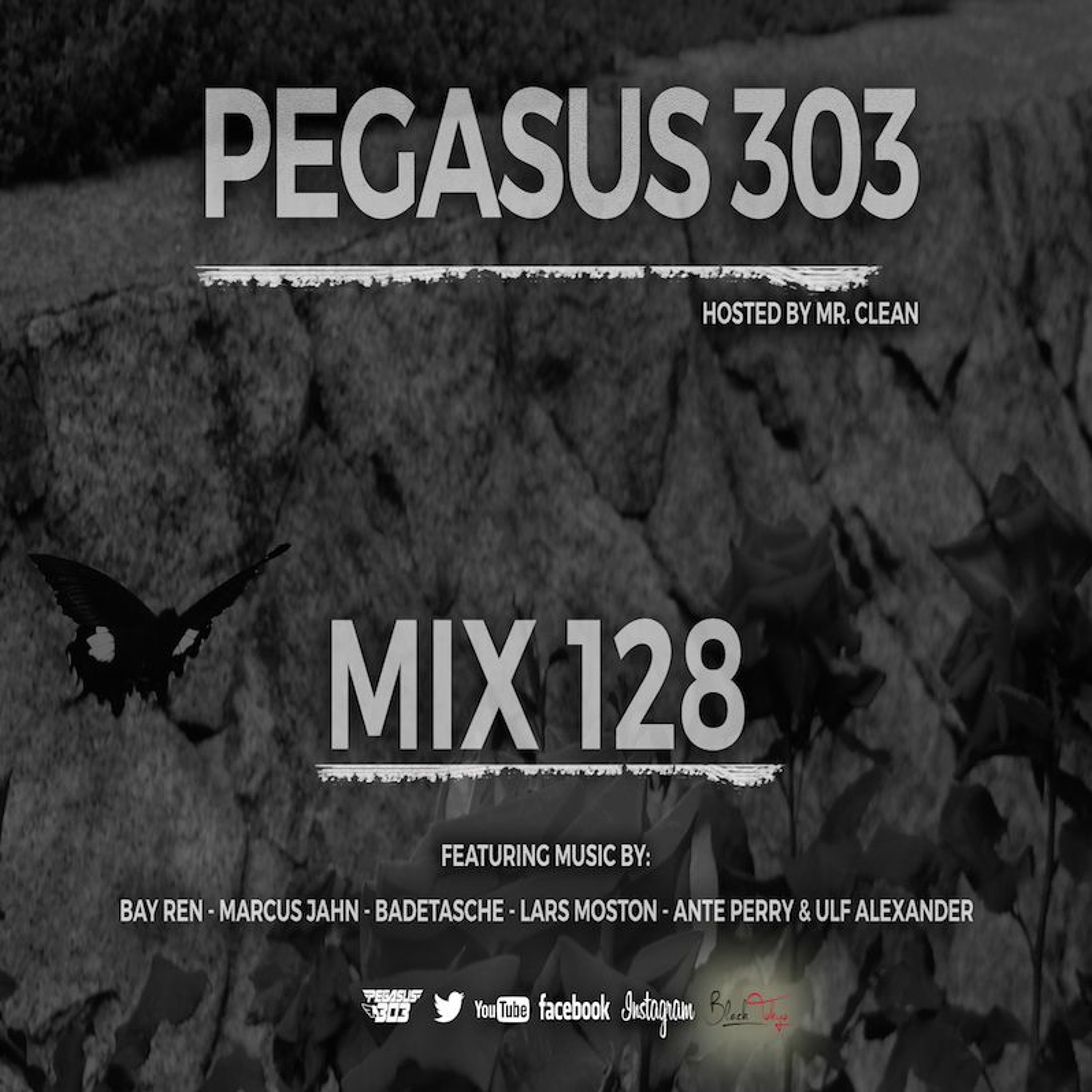 Pegasus 303 Mix