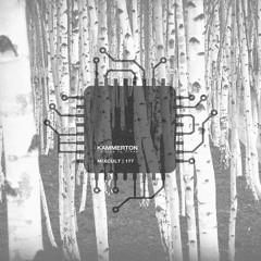 MixCult Radio Podcast # 177 Kammerton - Talking To Trees (2016)