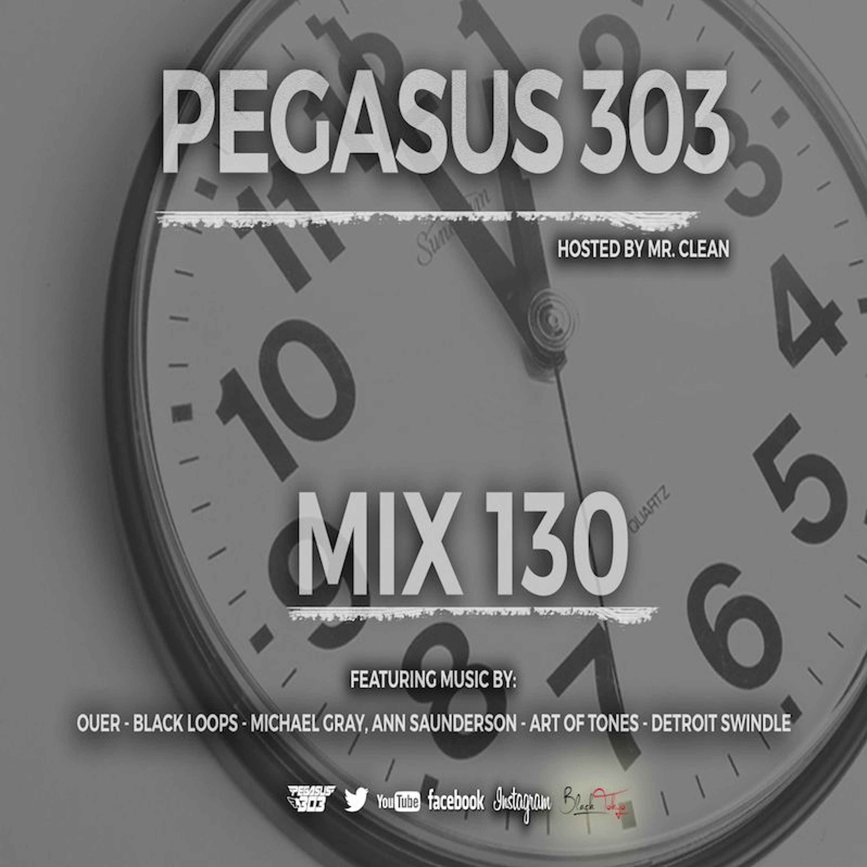 Pegasus 303 (mrclean)