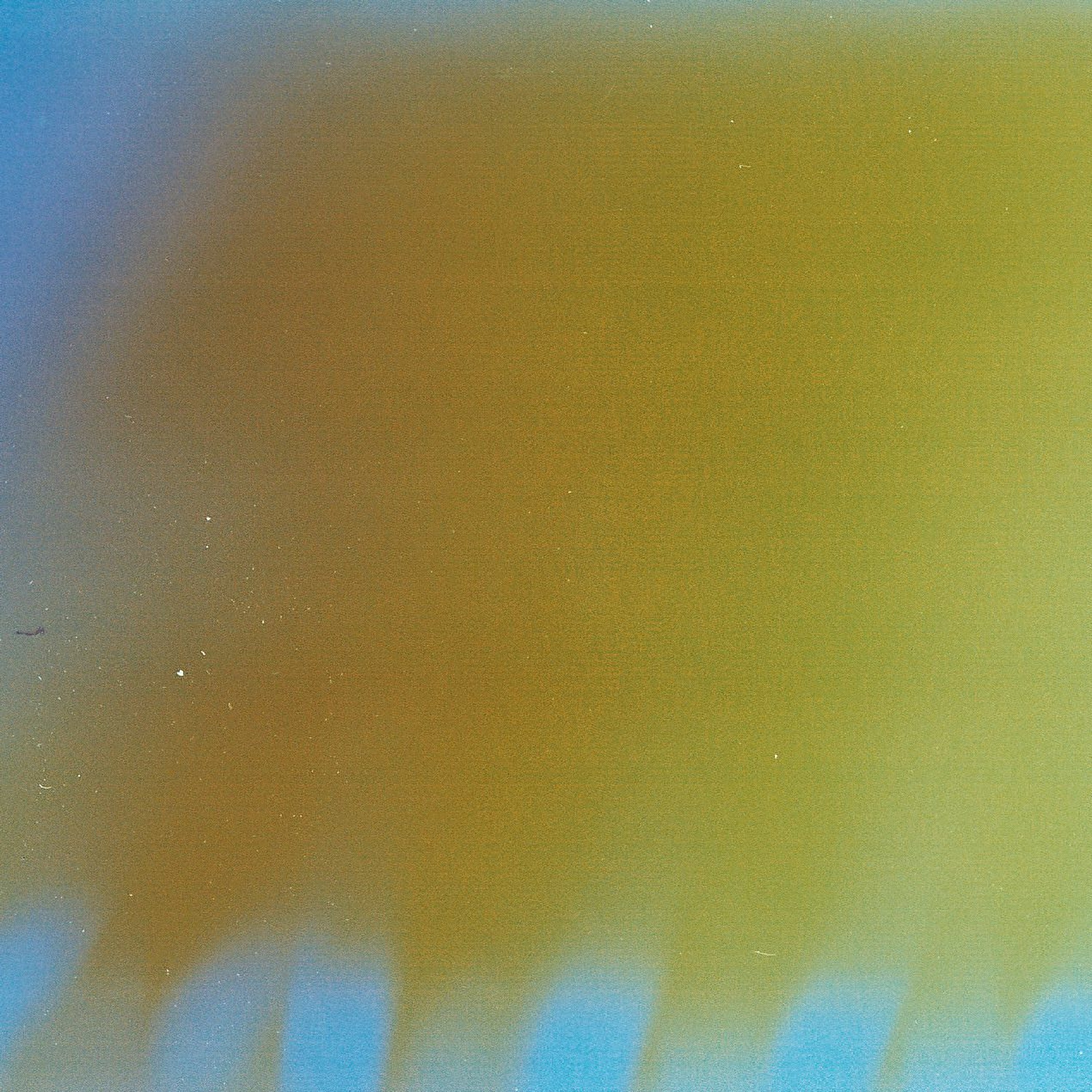 Amber Pussy Amber Weed - 311 / Fluxxy episode artwork